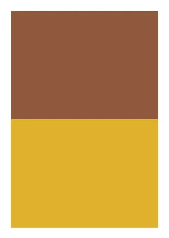 No.51ボックス_茶黄