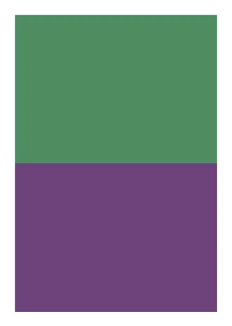 No.29ボックス_緑紫