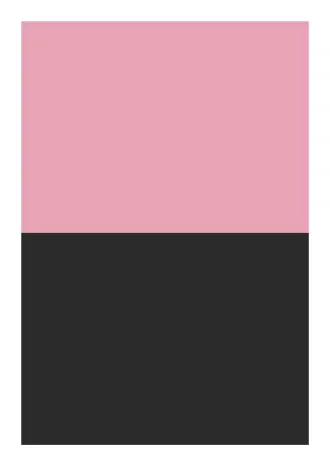 No.48ボックス_桃黒