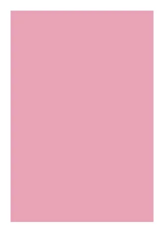 No.46ボックス_桃桃