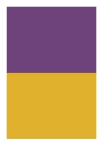 No.35ボックス_紫黄