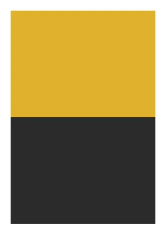 No.24ボックス_黄黒