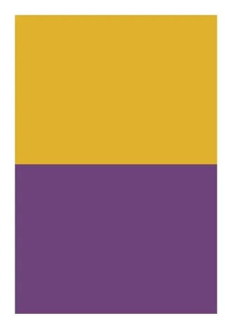 No.21ボックス_黄紫