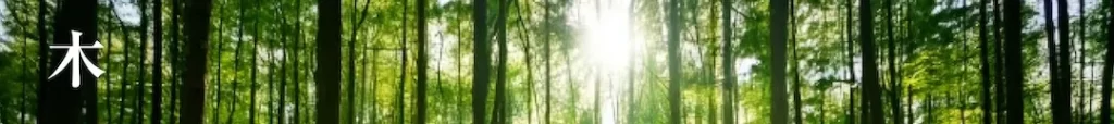 五行バー　木